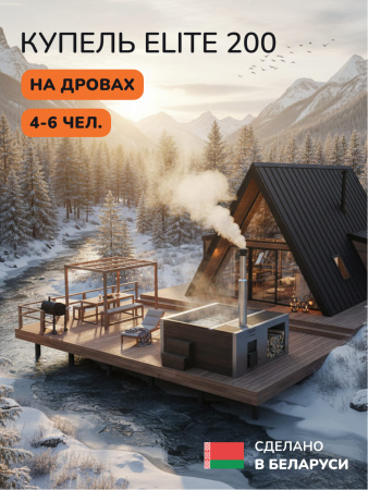 Купель с подогревом на дровах Scandinaf Elite 200B, 4-6 чел., коричневый,  AISI 316L, аэромассаж, подсветка