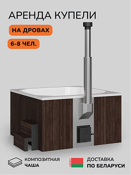 Аренда купели с подогревом на дровах Scandinaf Thermal 200BW, 6-8 чел., 1 день, доставка